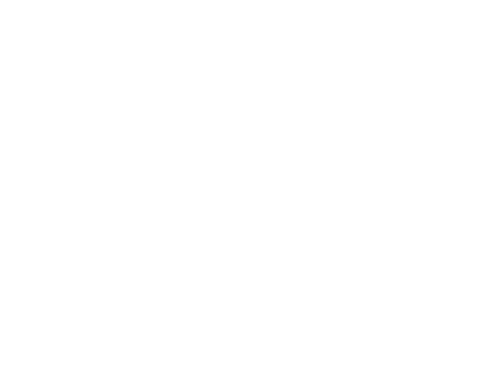 Team Capial